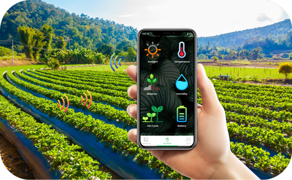 速威數字農業方案